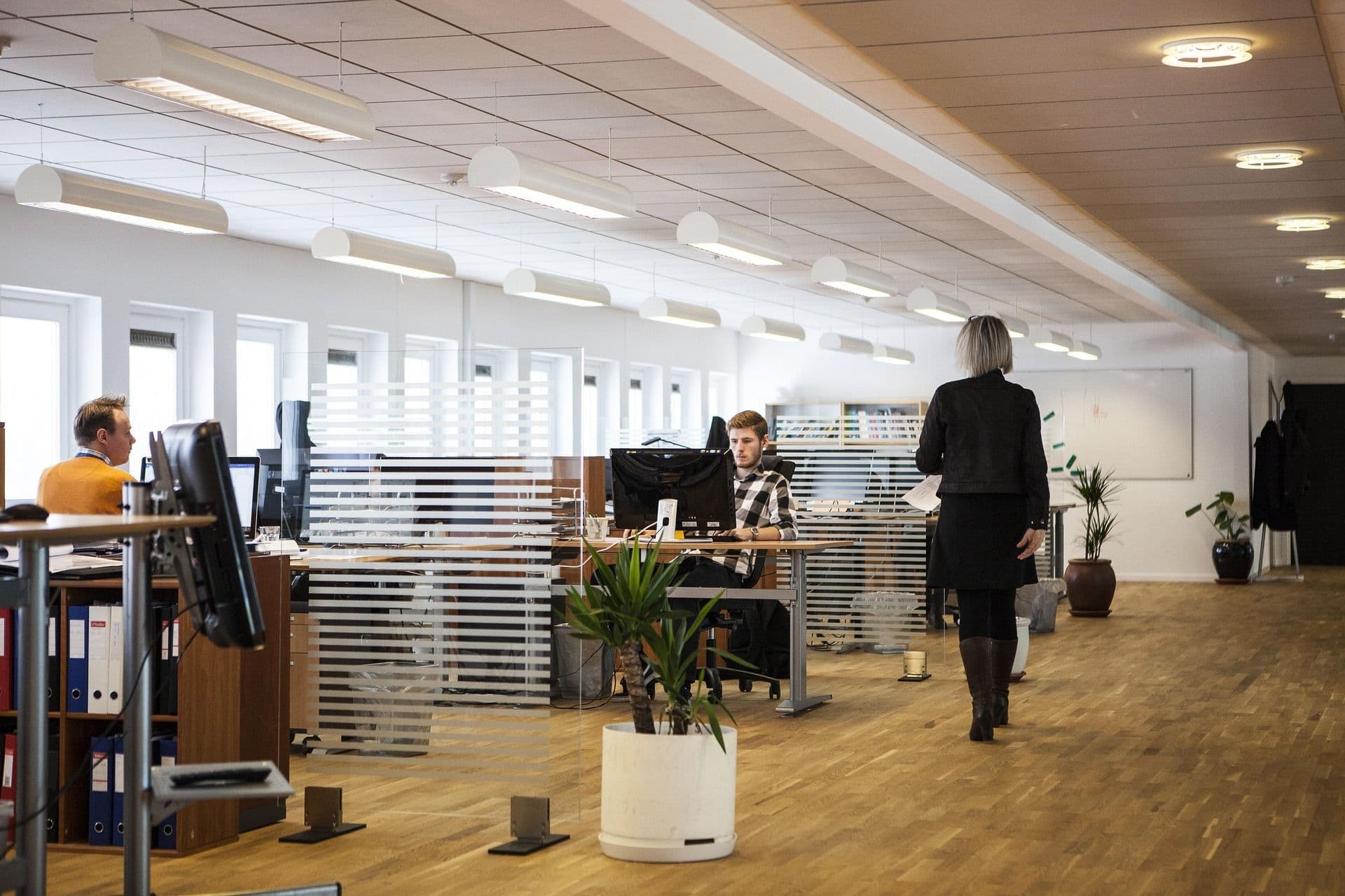 People in an office